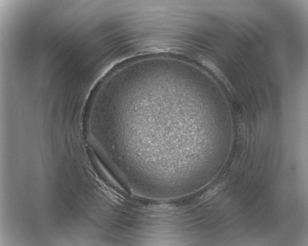 X0000067531023200604150220