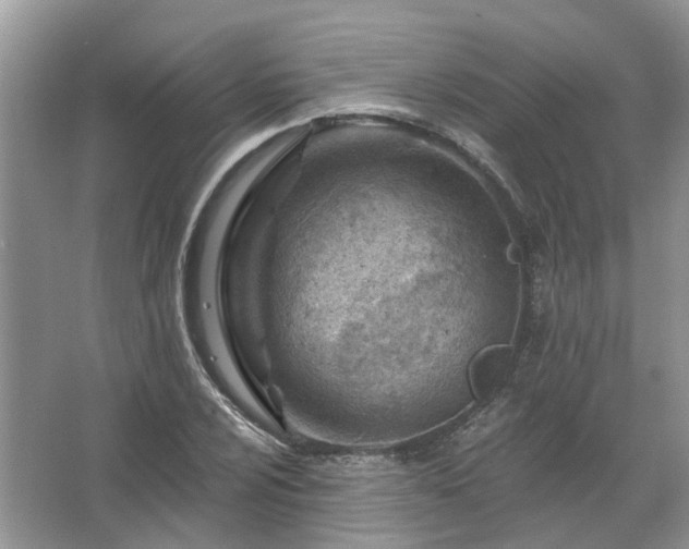 X0000067531024200604150220