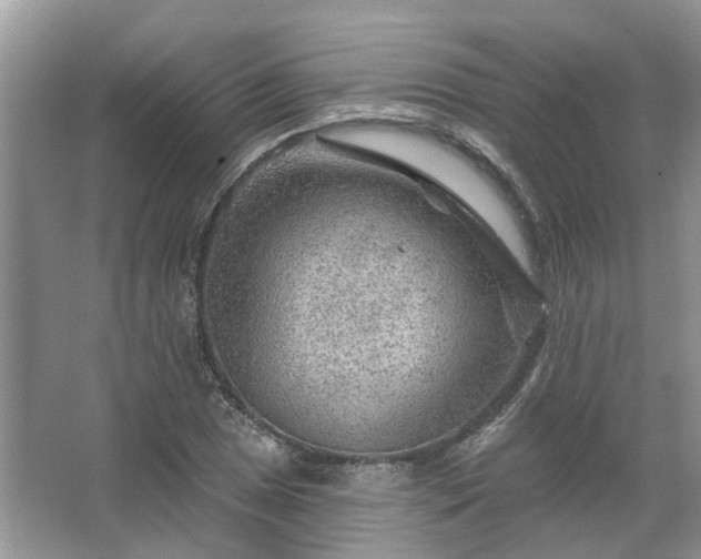 X0000067531025200604150220