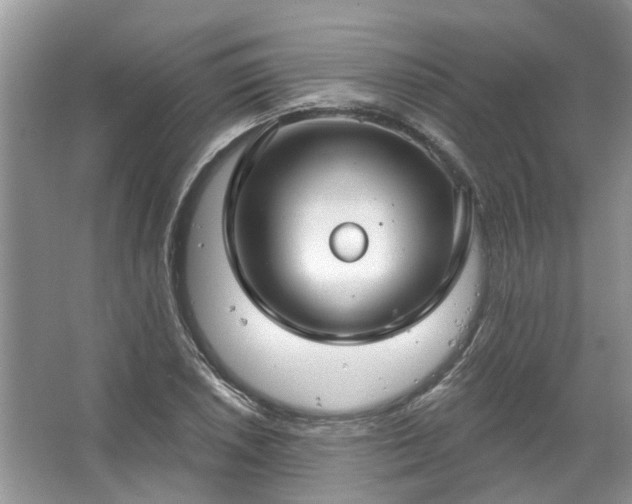 X0000067531026200604150220