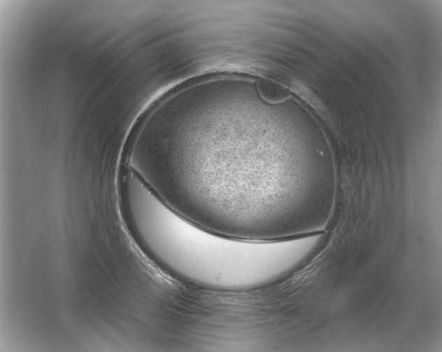 X0000067531028200604150220