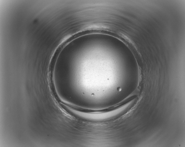 X0000067531029200604150220