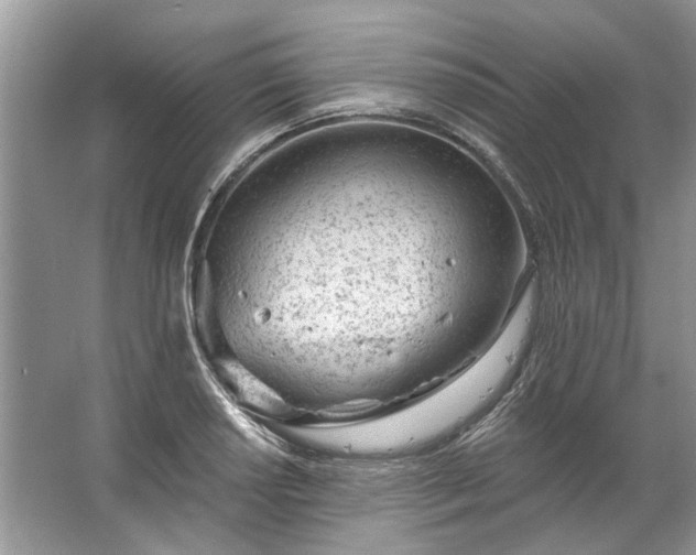 X0000067531034200604150220