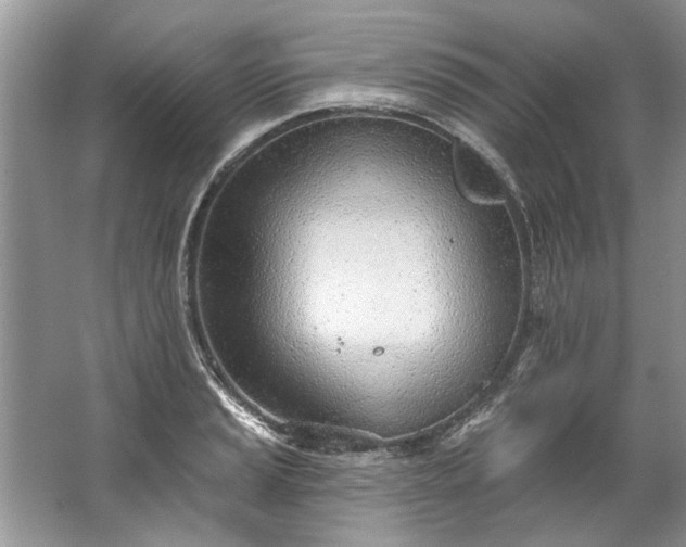 X0000067531037200604150220