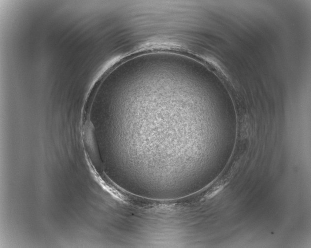 X0000067531038200604150220