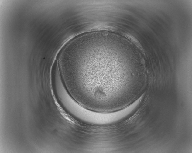 X0000067531039200604150220