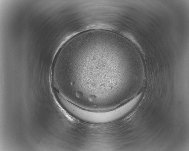 X0000067531040200604150220