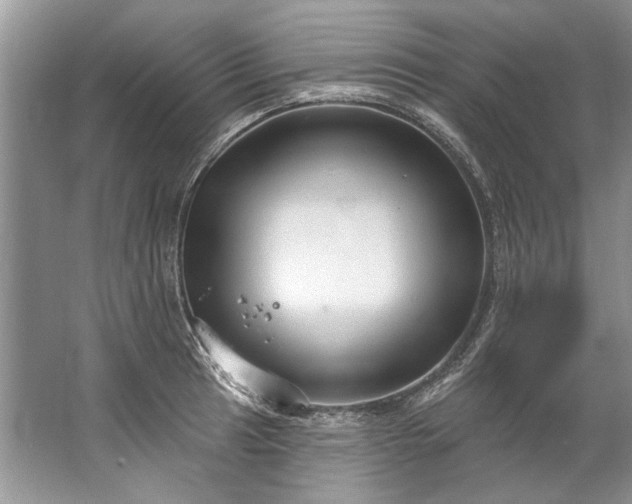 X0000067531041200604150220