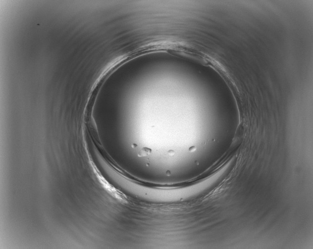 X0000067531042200604150220