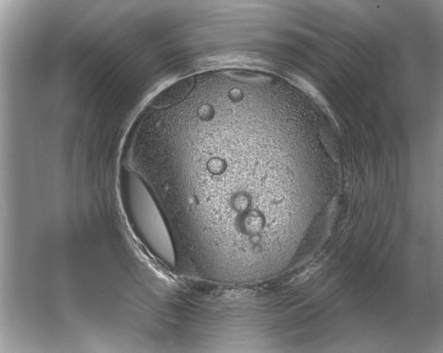 X0000067531043200604150220