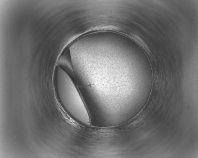 X0000067531044200604150220