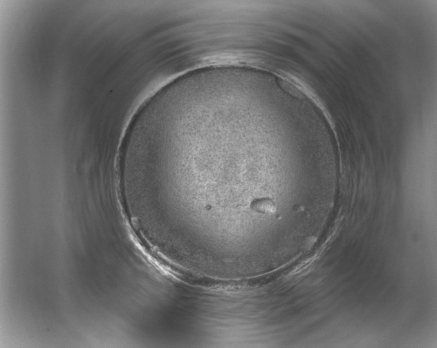 X0000067531045200604150220