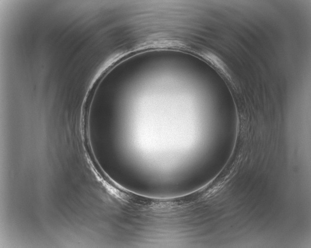 X0000067531046200604150220