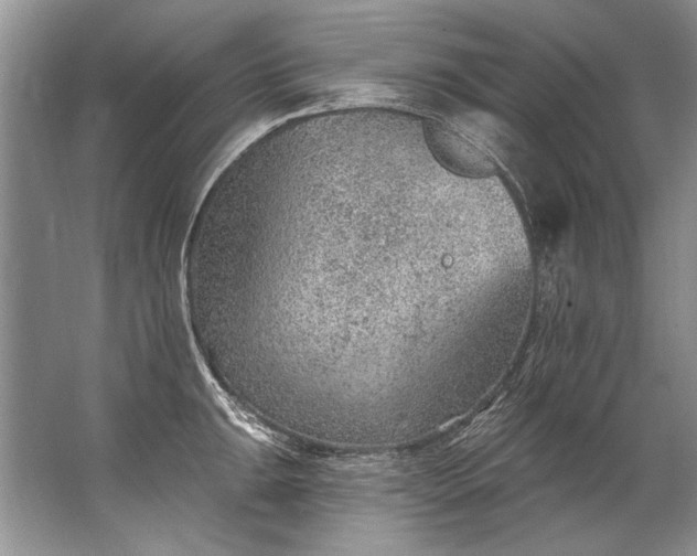 X0000067531047200604150220