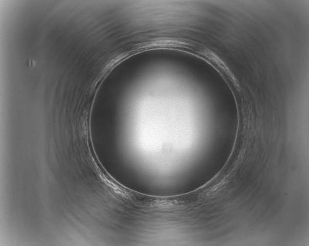 X0000067531049200604150220