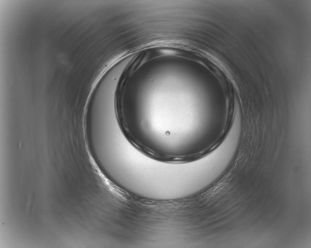 X0000067531050200604150220