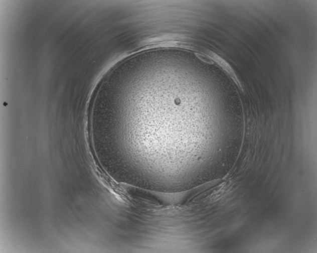 X0000067531051200604150220