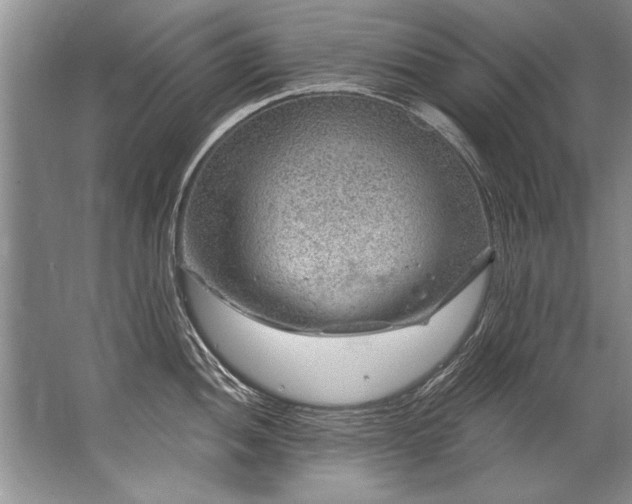 X0000067531052200604150220