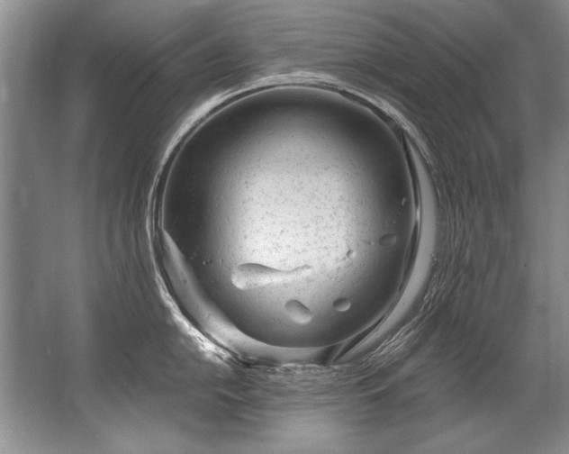 X0000067531054200604150220