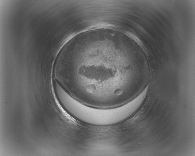 X0000067531055200604150220