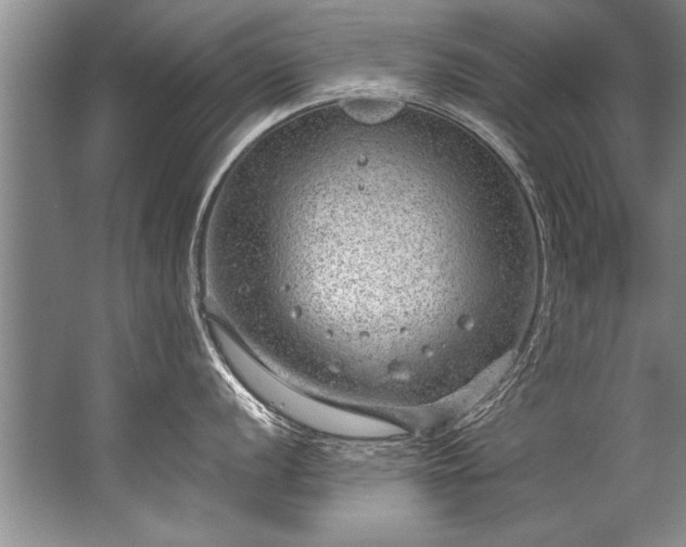 X0000067531056200604150221