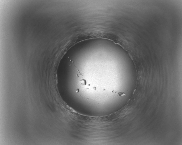 X0000067531057200604150220