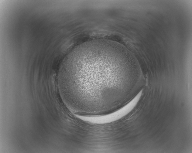 X0000067531059200604150220