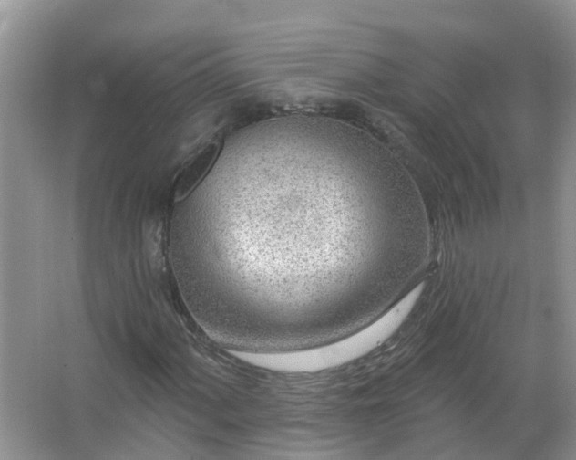 X0000067531060200604150220