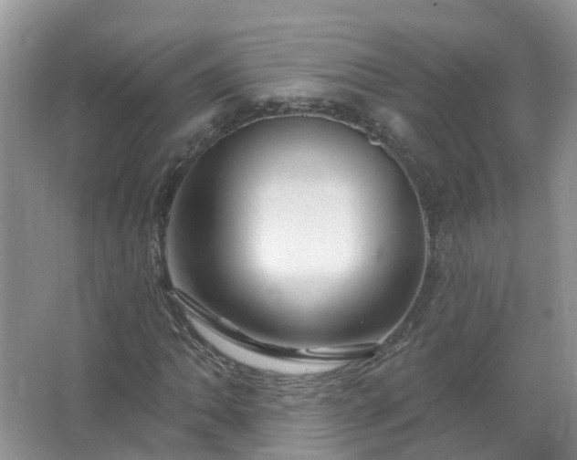 X0000067531062200604150220