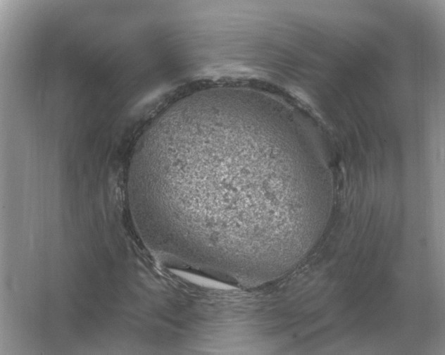 X0000067531063200604150220