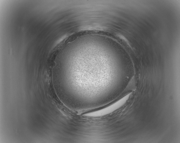 X0000067531064200604150220