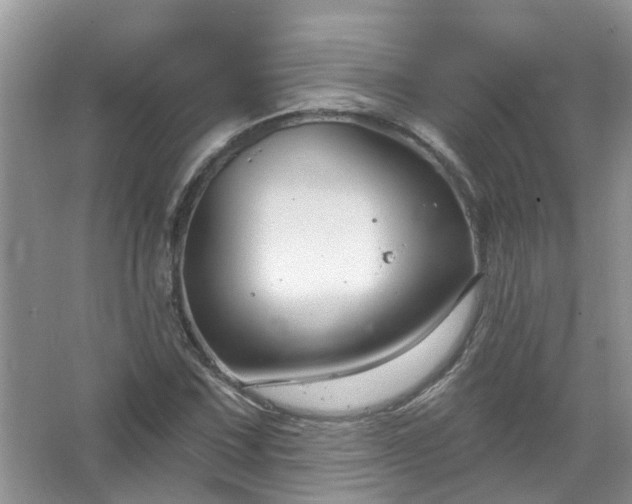 X0000067531067200604150220