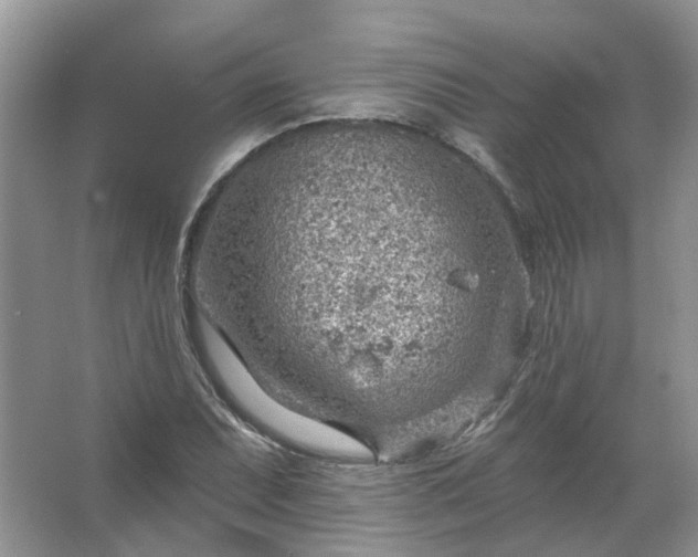 X0000067531071200604150219