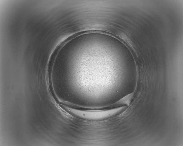 X0000067531072200604150219