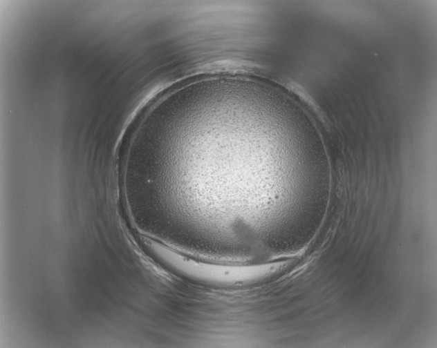 X0000067531075200604150219