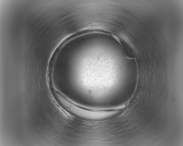 X0000067531076200604150219