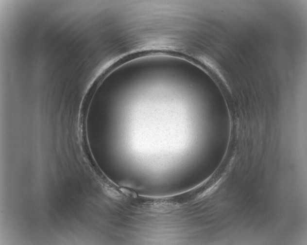 X0000067531077200604150219