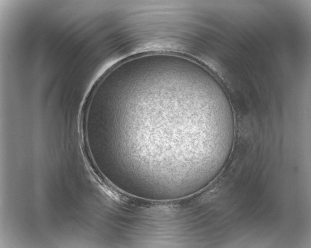 X0000067531078200604150219