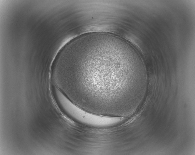 X0000067531079200604150219