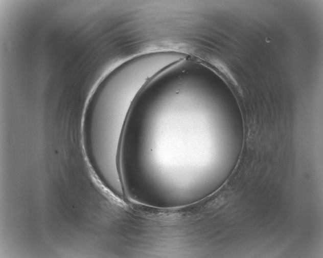 X0000067531080200604150219