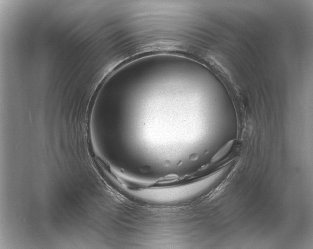 X0000067531081200604150219