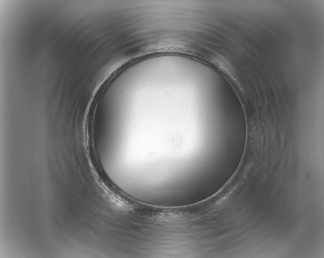 X0000067531082200604150219