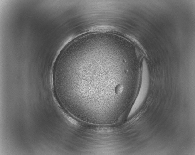 X0000067531083200604150219