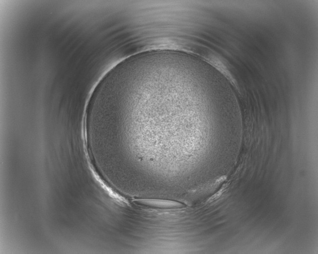 X0000067531084200604150219