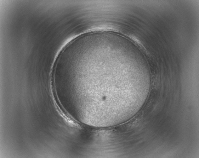 X0000067531086200604150219