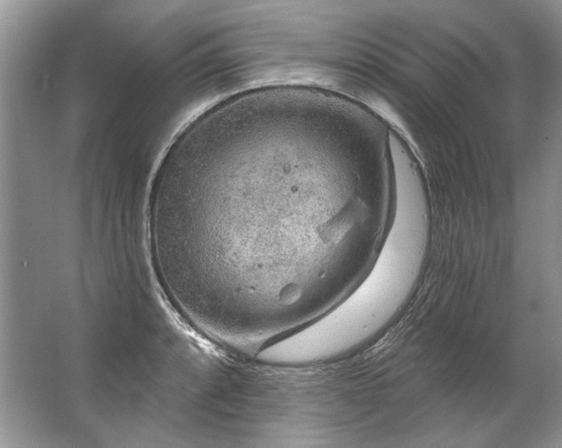 X0000067531088200604150219