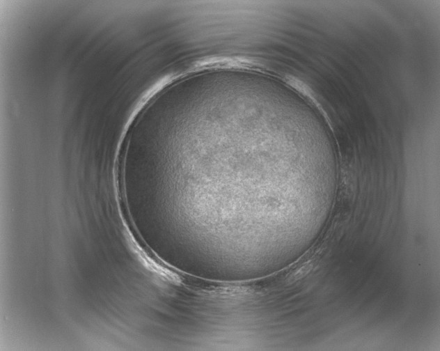 X0000067531090200604150219