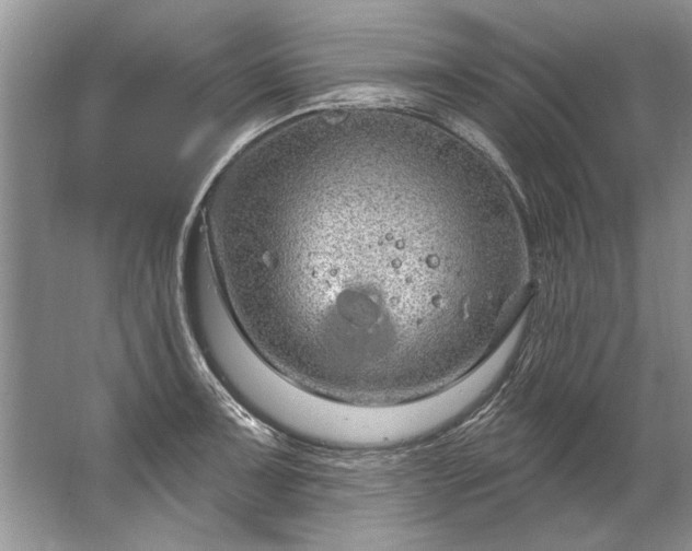 X0000067531091200604150219