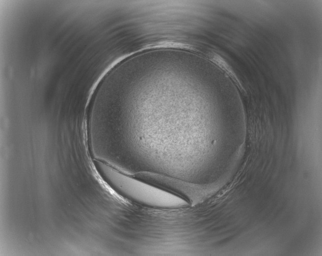 X0000067531092200604150219