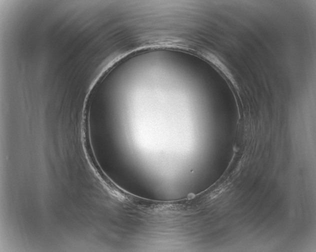 X0000067531093200604150219